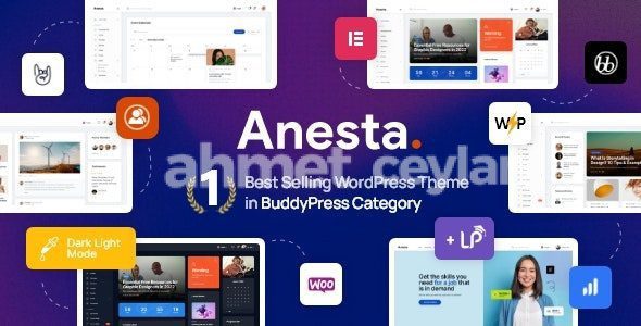 anesta 1 5 3 intranet extranet community and buddypress wordpress theme 69158d2e3e12c
