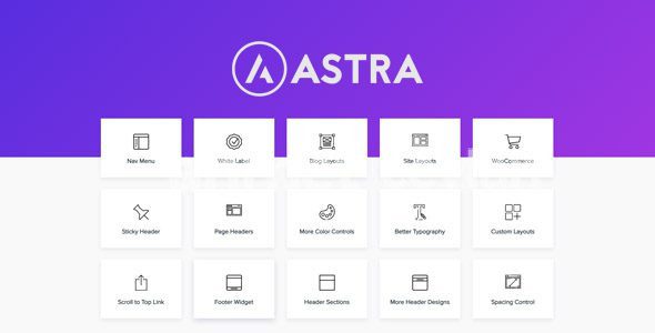 astra pro addon 4 11 11 wordpress theme for any website 69156453b0f6c