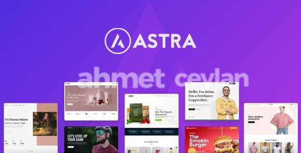 astra theme 4 11 14 portfolio 1 13 2 most popular wordpress theme 691557282b59c