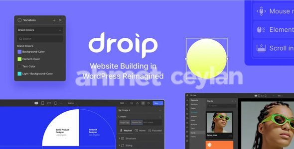 droip 2 5 0 no code wordpress site builder 6915213abf0e2