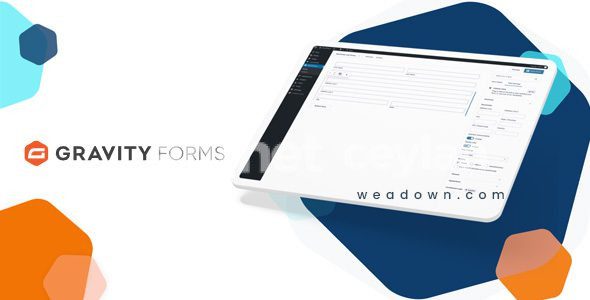 gravity forms 2 9 21 1 addons wordpress form plugin 691511af6a7a8