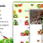 Constructo 4.4.4 – Construction WordPress Theme