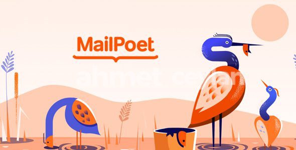 mailpoet pro 5 17 0 email marketing plugin for wordpress 691557bc44883
