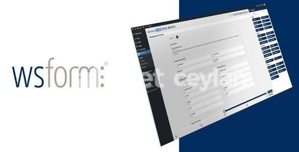 ws form pro 1 10 62 addons wordpress form plugin 69158d6983203