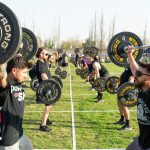 Yazılım Geliştirme — Mayıs 2026