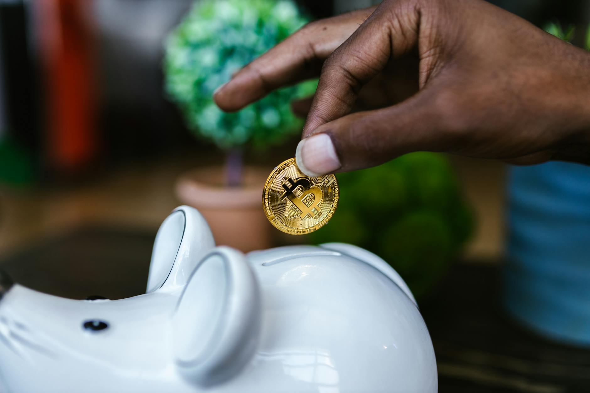 money saving 8369765