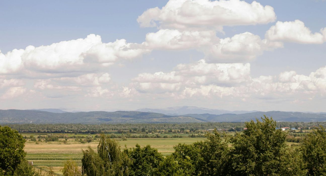 nature environment 33598171.jpg