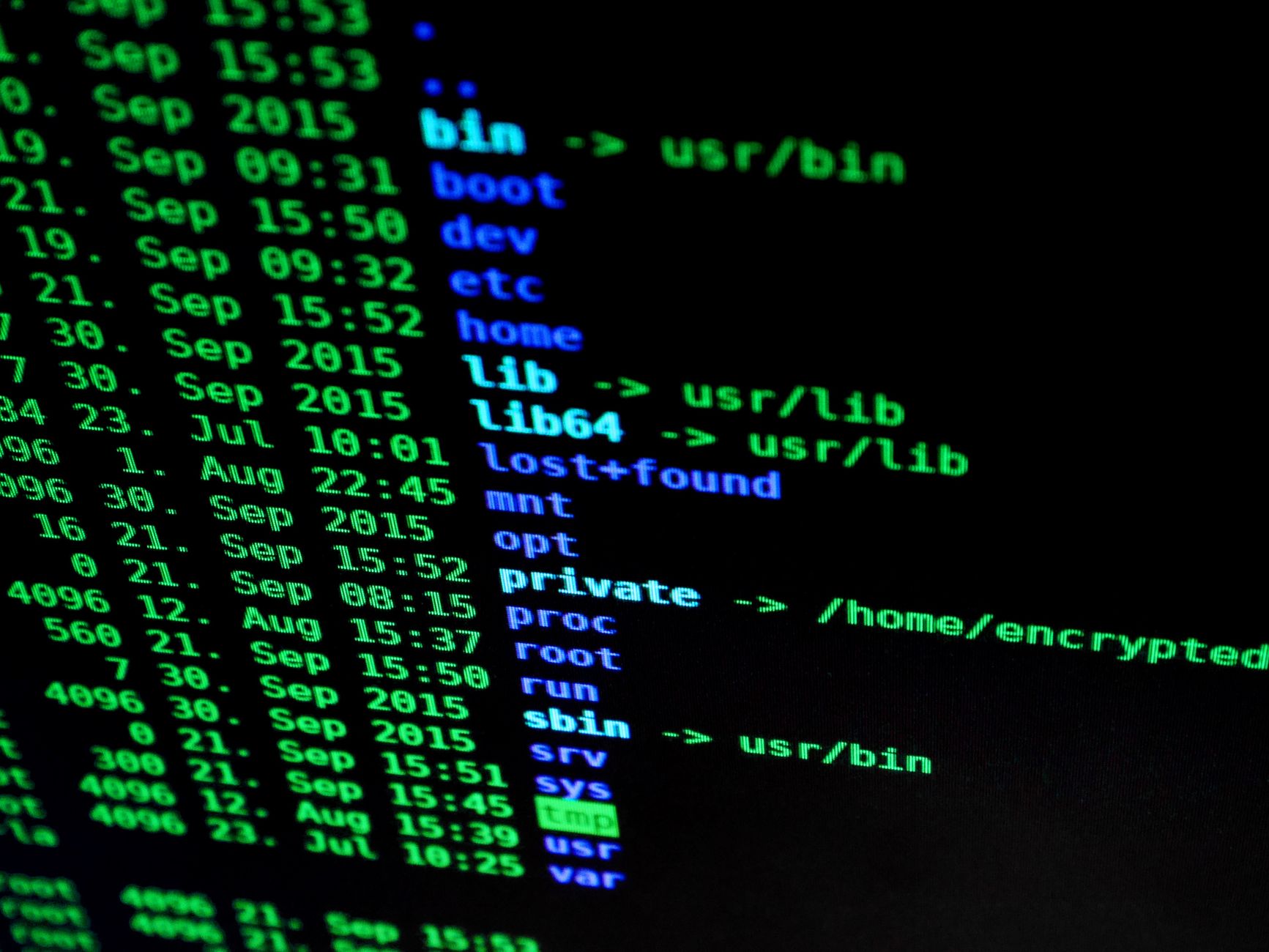 İşletmenizi Siber Tehditlerden Koruyun 5 cybersecurity network protection