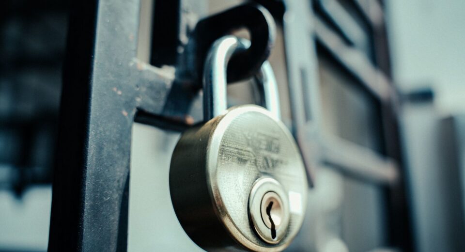 home security alone safety door