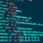 İşe Almadan Önce Dikkate Almanız Gereken Faktörler WordPress Developer