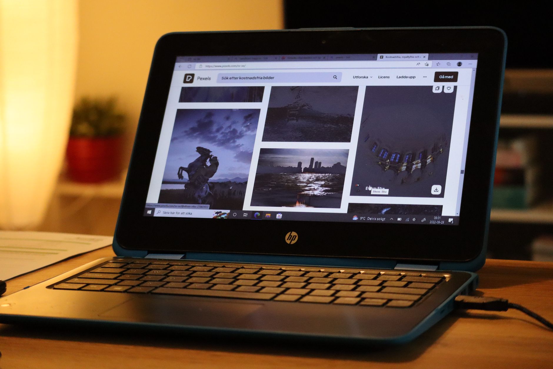 wordpress installation setup